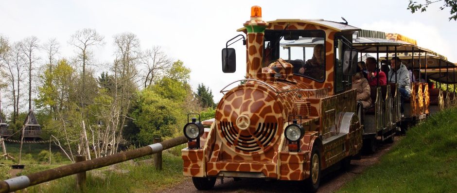 Petit train les animaux du zoo en bois