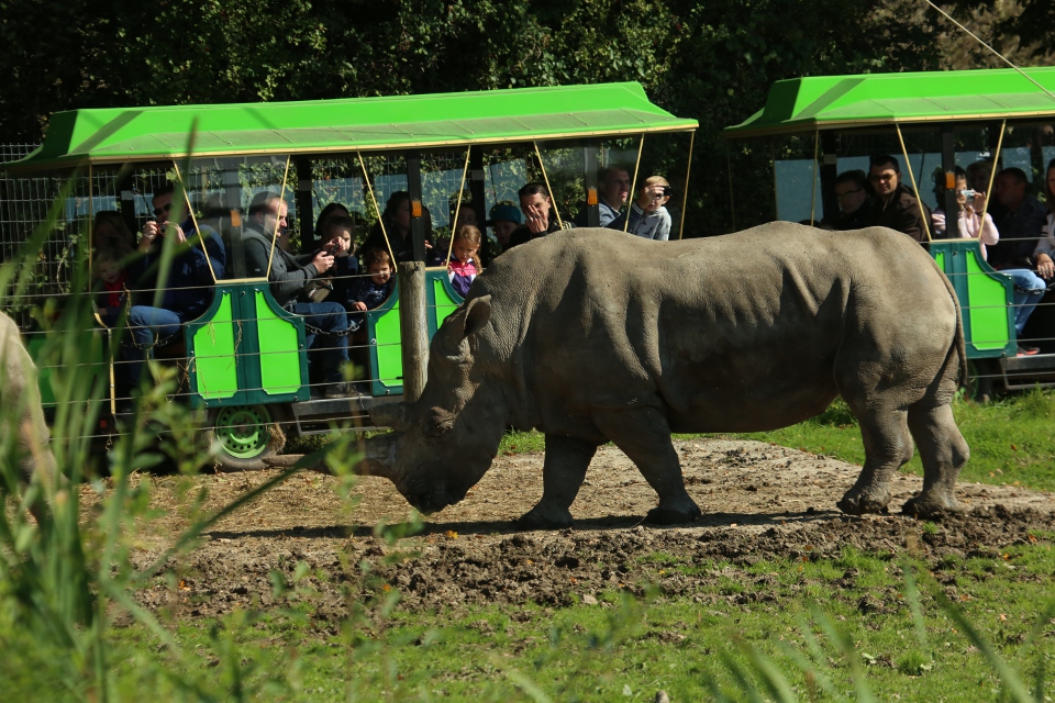 parc safari cerza