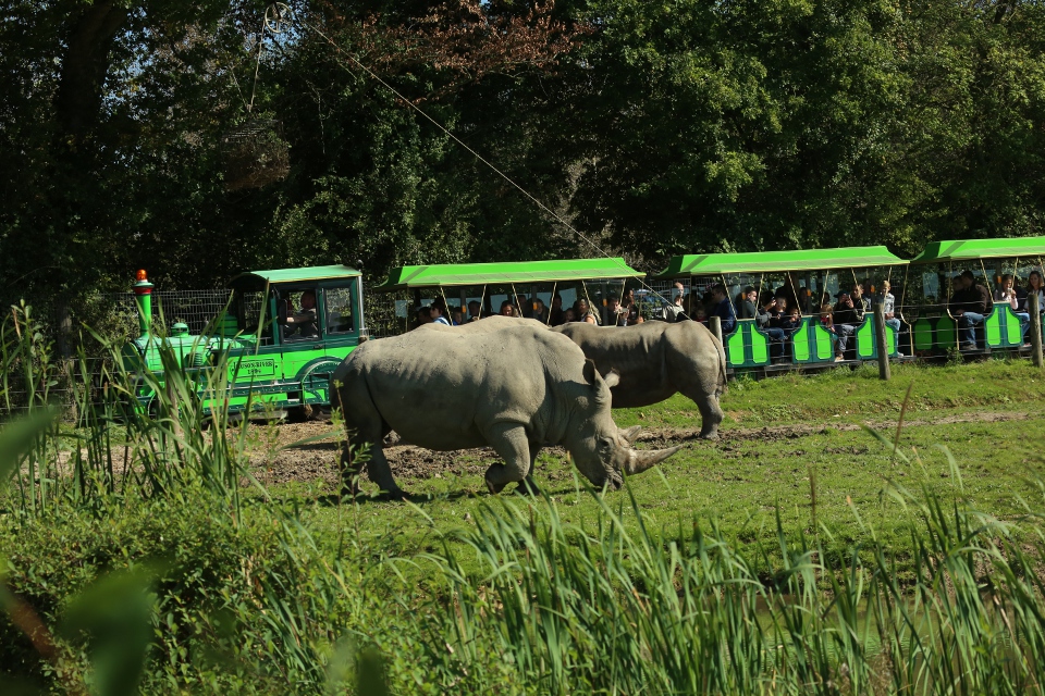 parc safari cerza