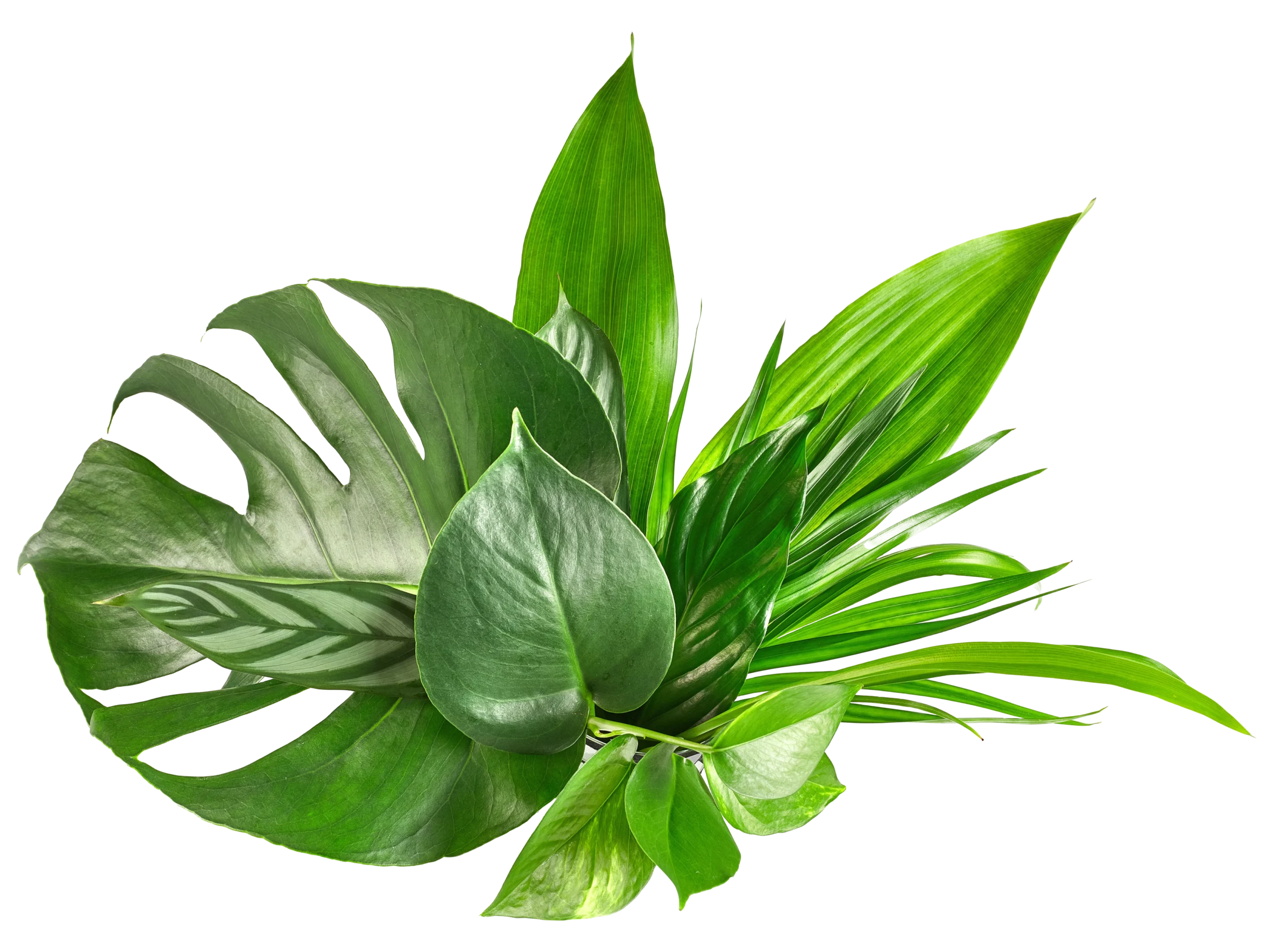 feuille2