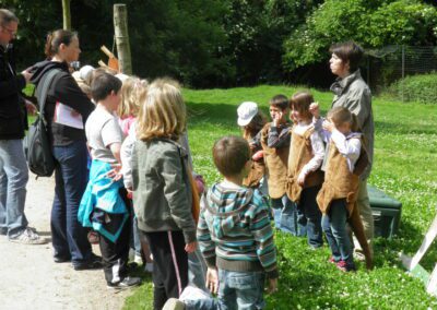 A la rencontre des animaux à poche