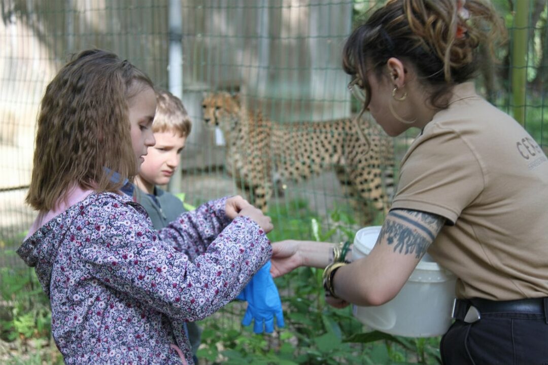 rencontre privilège guépard