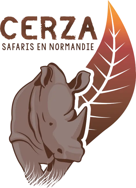 logo-cerza
