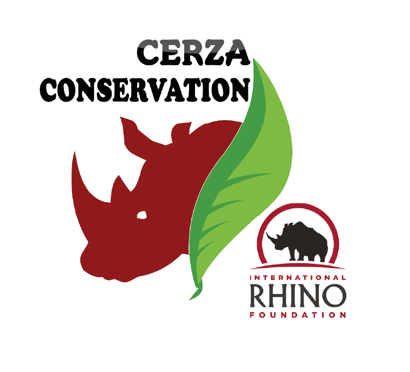 rhino inde