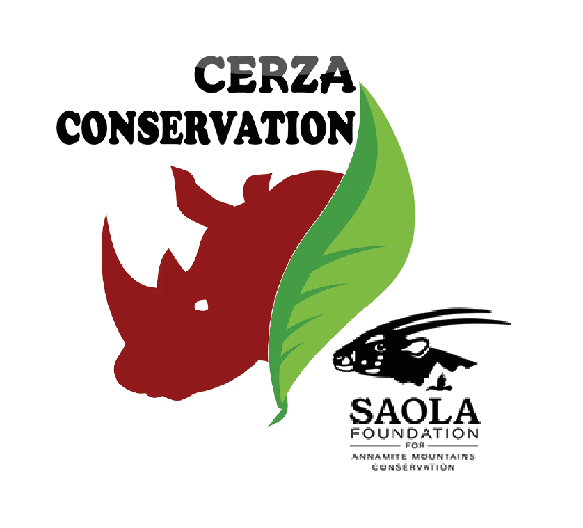 saola