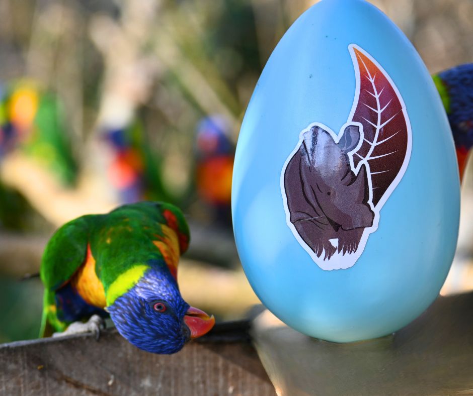 GRANDE CHASSE AUX OEUFS CERZA 2026