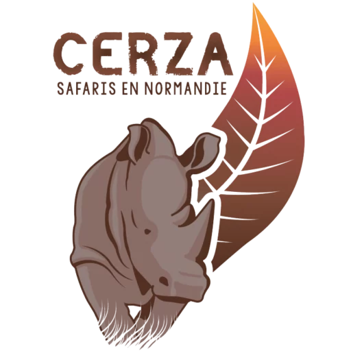 Cerza