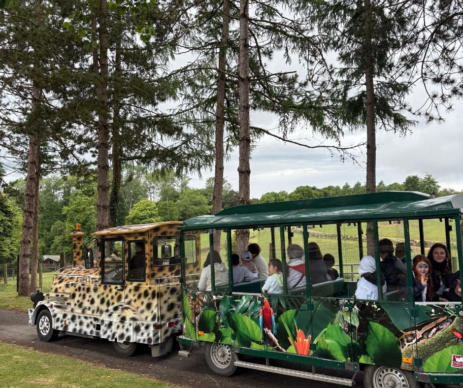 Safari train CERZA