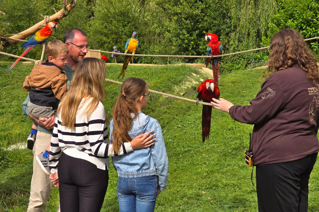 Expérience VIP nourrir les animaux au zoo de CERZA