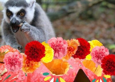 Dia de los muertos s’invite au CERZA pour Halloween