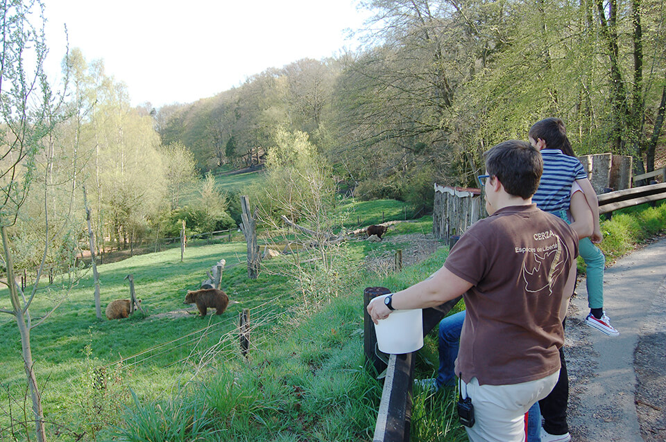 À bord d’un véhicule dédié, partez avec votre guide pour un safari inédit et personnalisé : une expérience hors du commun ! Découvrez le parc et ses nombreuses espèces par des chemins inaccessibles des visiteurs habituellement. Cela donne un autre point de vue sur les espèces du parcours.