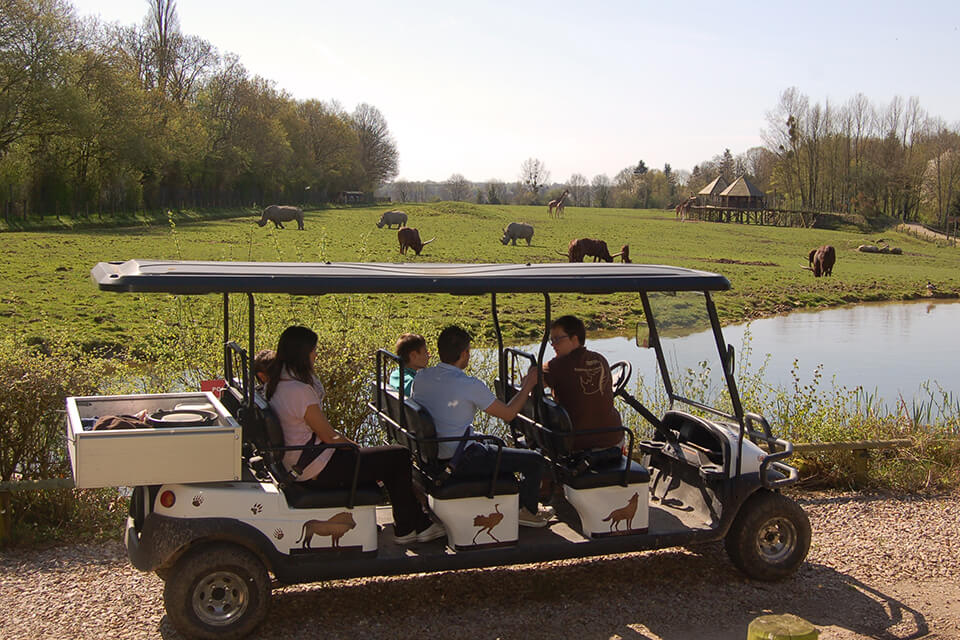 À bord d’un véhicule dédié, partez avec votre guide pour un safari inédit et personnalisé : une expérience hors du commun ! Découvrez le parc et ses nombreuses espèces par des chemins inaccessibles des visiteurs habituellement. Cela donne un autre point de vue sur les espèces du parcours.