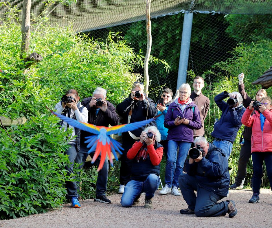 CERZA PHOTO ACCESS CERZA CERZA PHOTO ACCESS CERZA