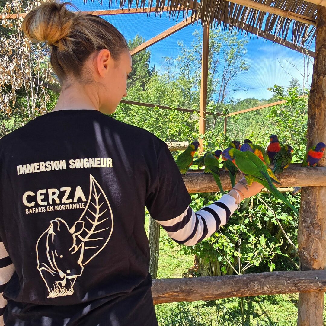IMMERSION SOIGNEUR ZOO DE CERZA NORMANDIE